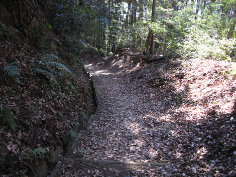 20170126hike (205)